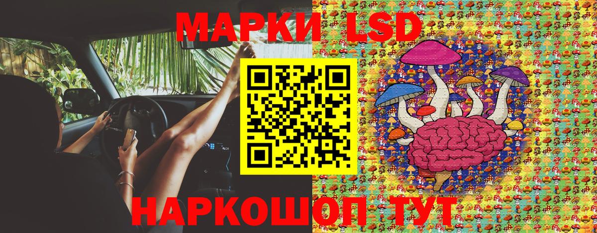 ЭКСТАЗИ  МЕФ   Зеленогорск  Вход с VPN  APVP СК   Канабис  Наркошоп  COCAIN  MDMA  ГАШИШ 